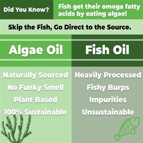 algae oil vs epa.